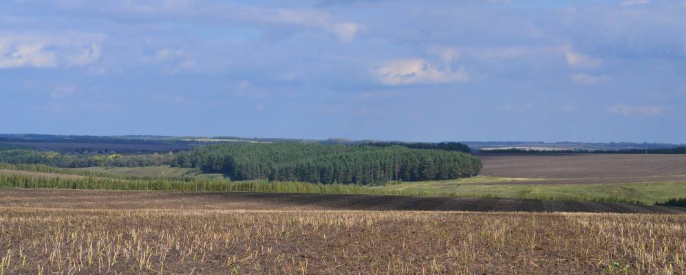 
            Фотография Крутого