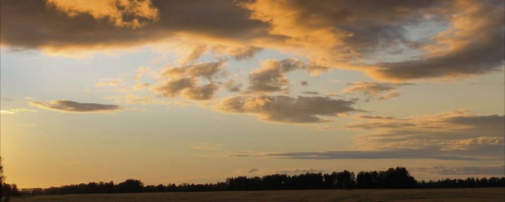 
            Фотография Зонального