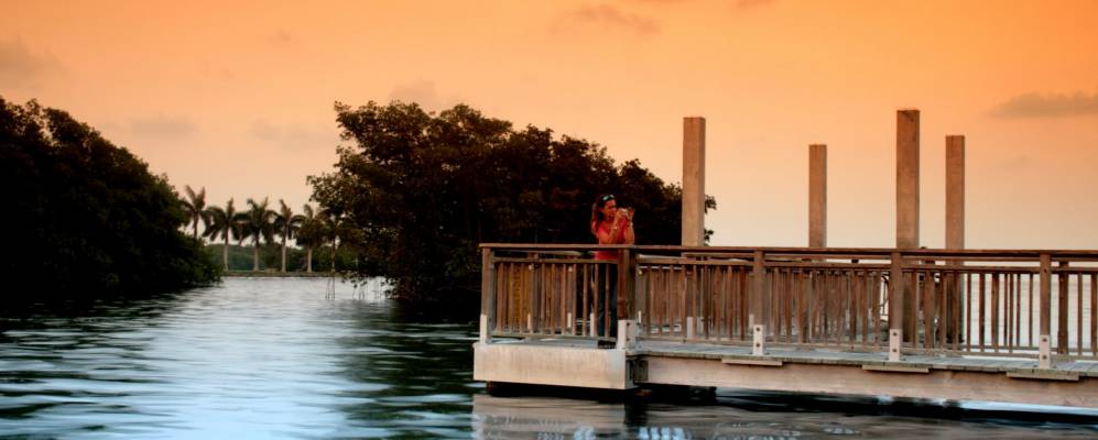 
            Фотография Катлера