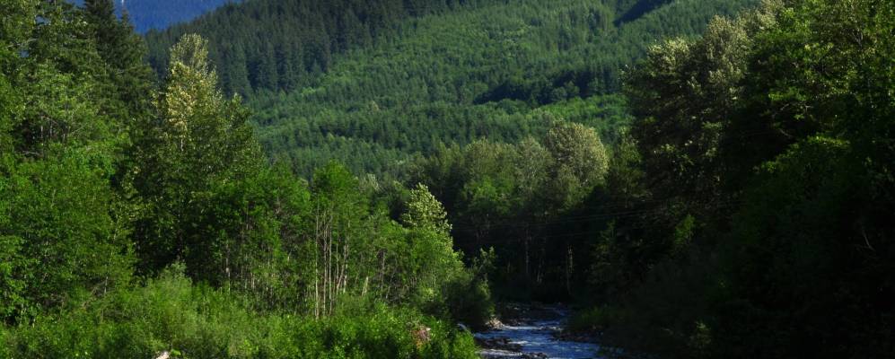 
            Фотография Warnick