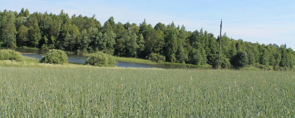 Фотография Дуброво