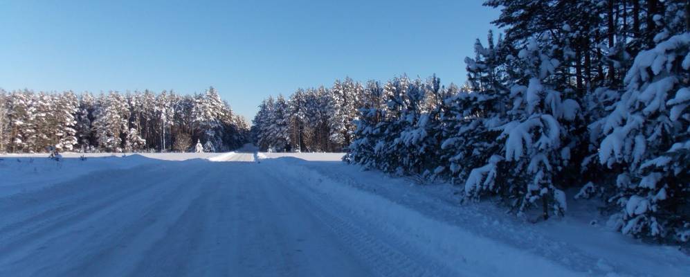 Фотография Сидоровцов