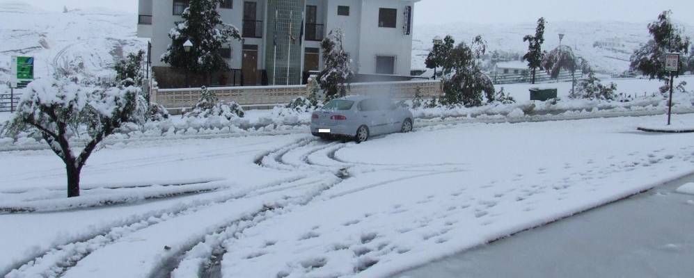 
            Фотография Таберно