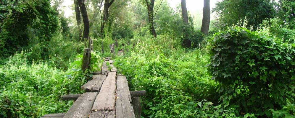 
            Фотография Ольховского