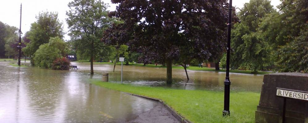 
            Фотография Скоттера