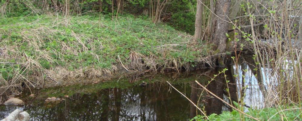 Фотография Галухи