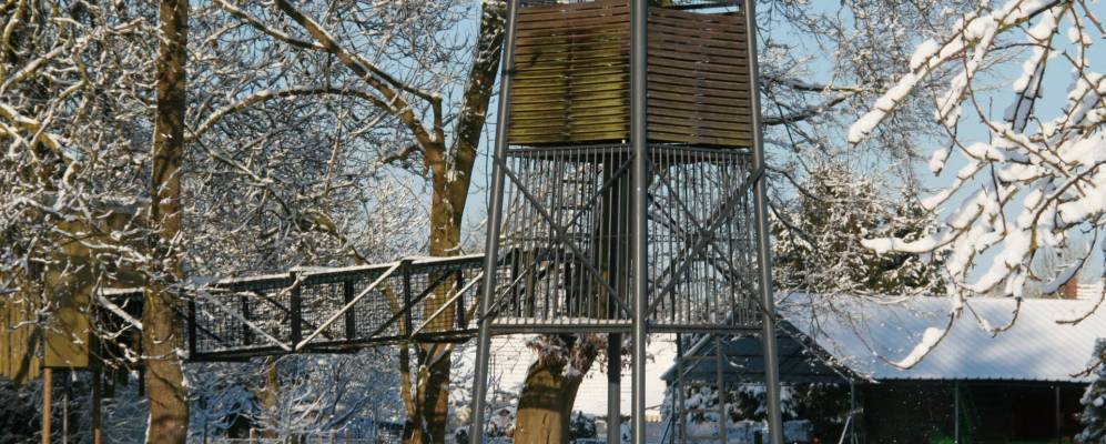 
            Фотография Виньякура