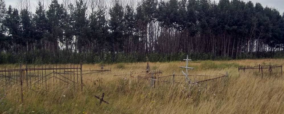 
            Фотография Октябрьского (Пичаевского Лесхоза)