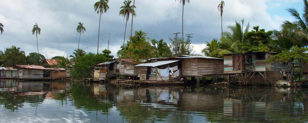 
            Фотография Альмиранте