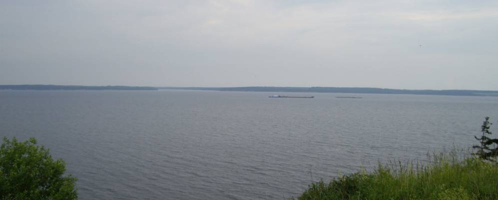 
            Фотография Косолапихи