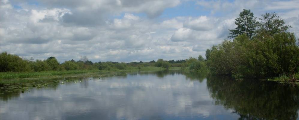 Фотография деревни Колбы