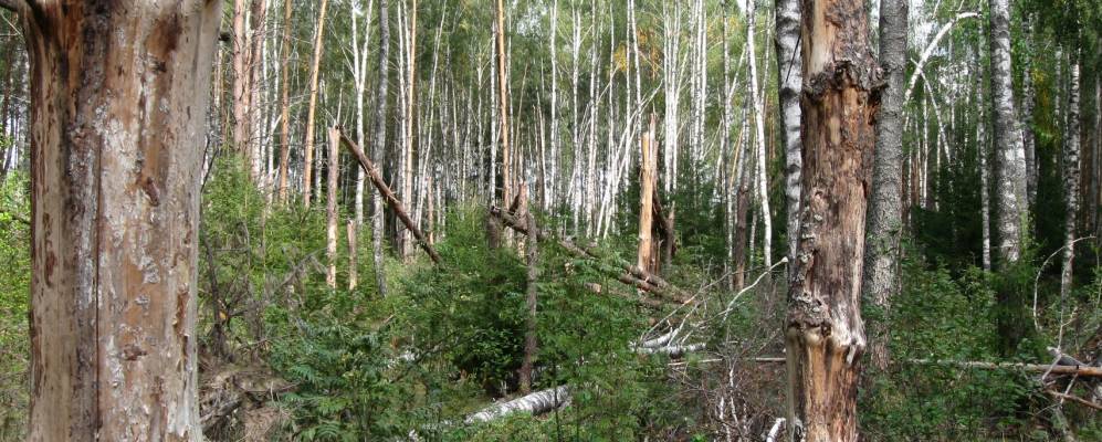 
            Фотография Титовской