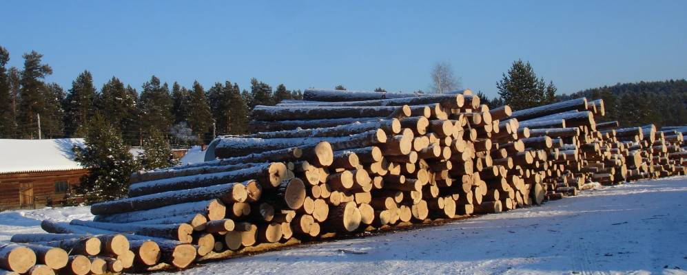 
            Фотография Саннолыжного