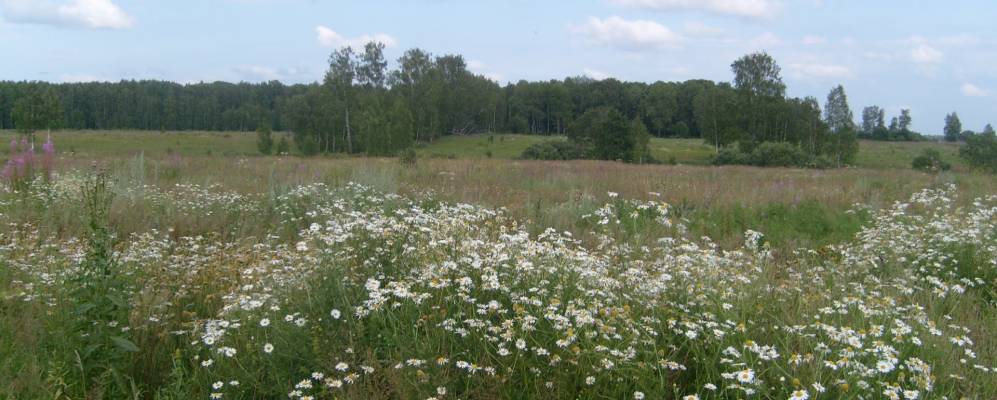 Фотография Куфтино