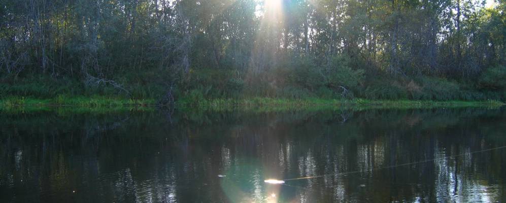 Фотография Щепино