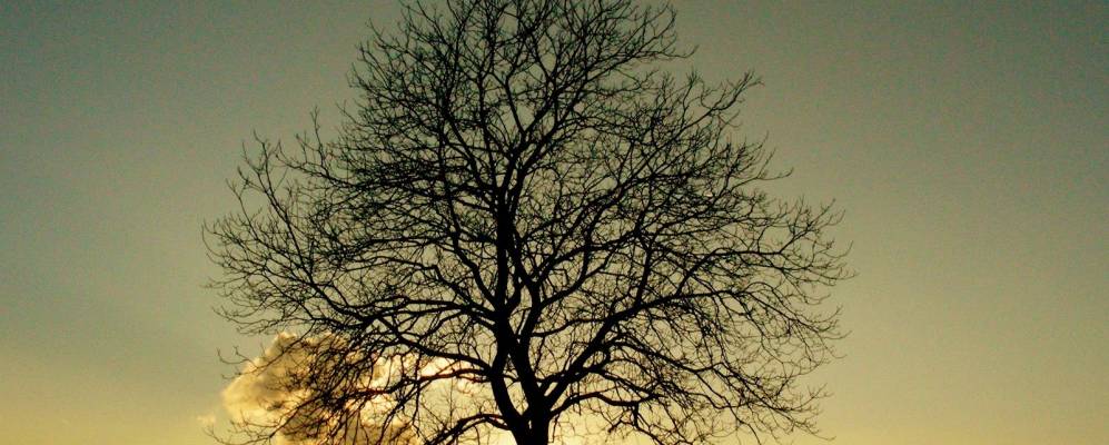 
            Фотография Нидерерлинсбаха