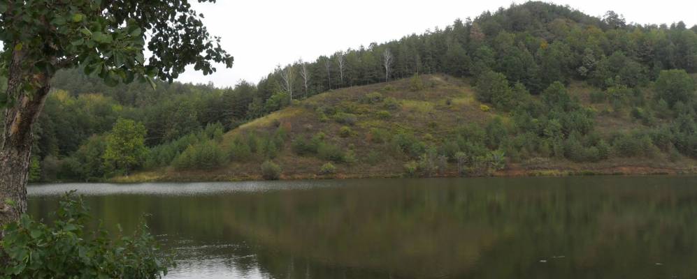 
            Фотография Поповки