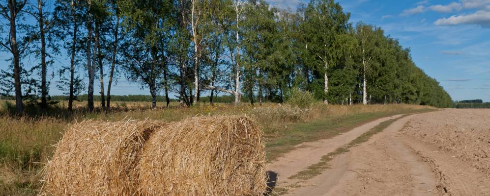 Фотография Чаглавы