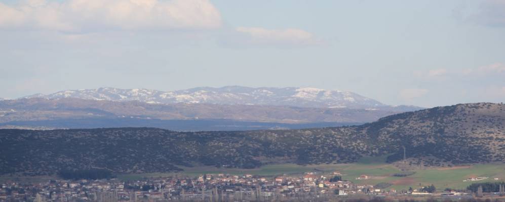 Фотография Кампаниса