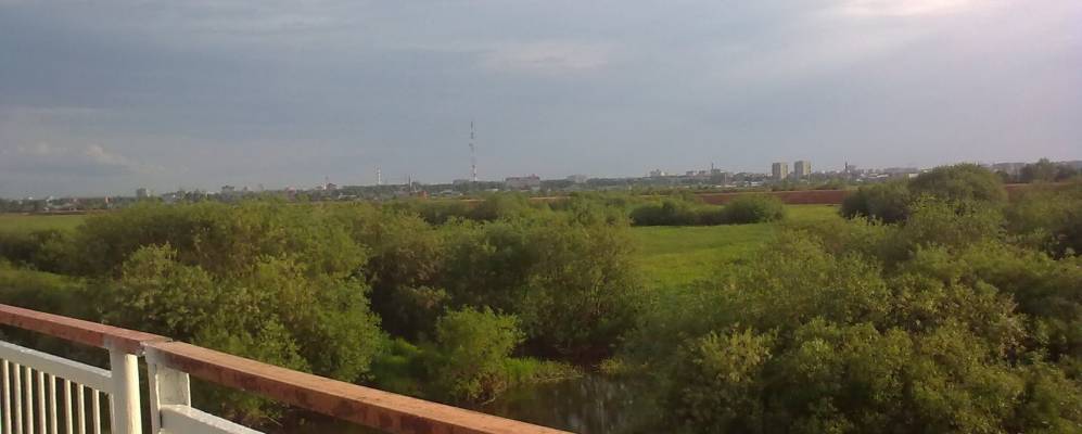 
            Фотография Дорожного