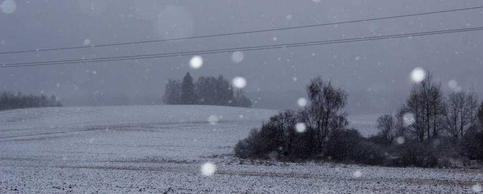 Фотография Вейно