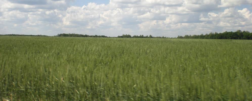 Фотография Новой