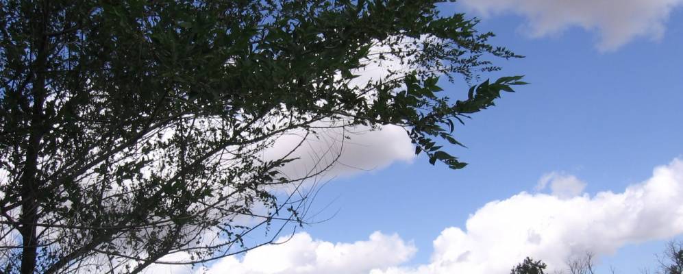 
            Фотография Харьковки