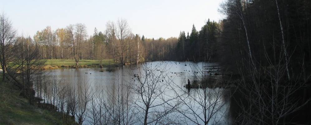 
            Фотография Клемещея