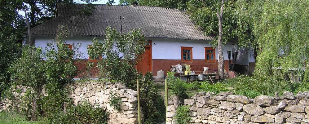 
            Фотография Криничек