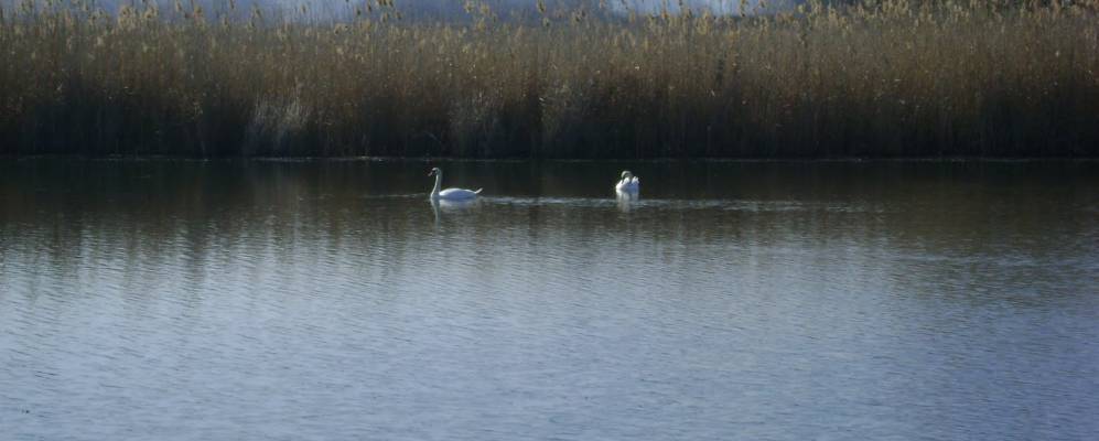 село павловка украина. ростовская обл павловка. хутор павловка ростовская область. ростовская область чертковский район природа. село каменка кашарский район ростовская область.
