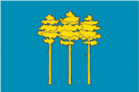 Флаг Димитровграда