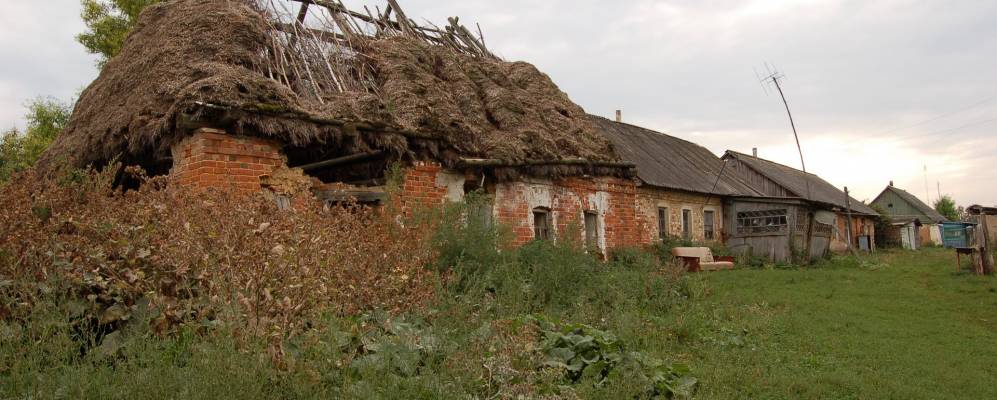 
            Фотография Новгородского