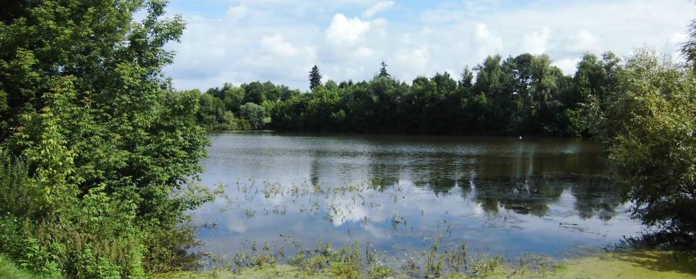 
            Фотография Адамова