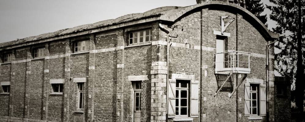 
            Фотография Артра