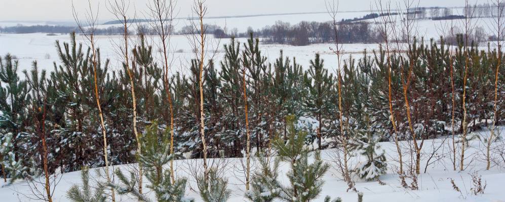 
            Фотография Ашитбаша