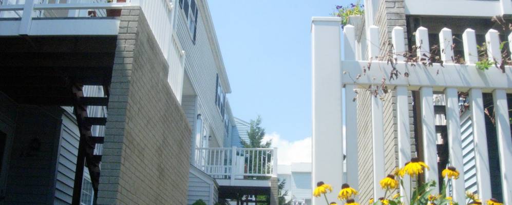 
            Фотография Норуолка