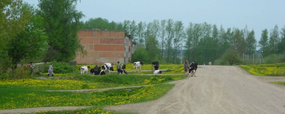 Фотография Лавреновки