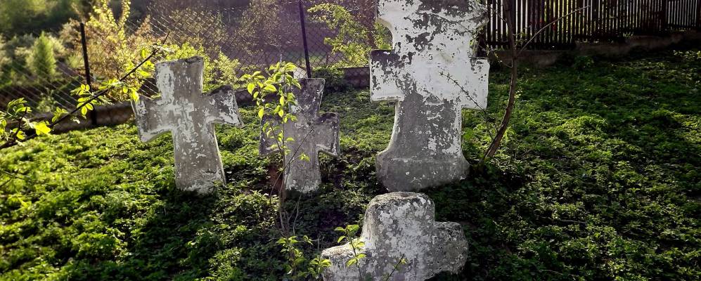 
            Фотография Василева