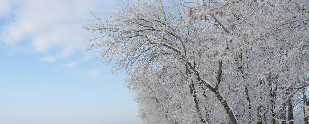
            Фотография Берёзового
