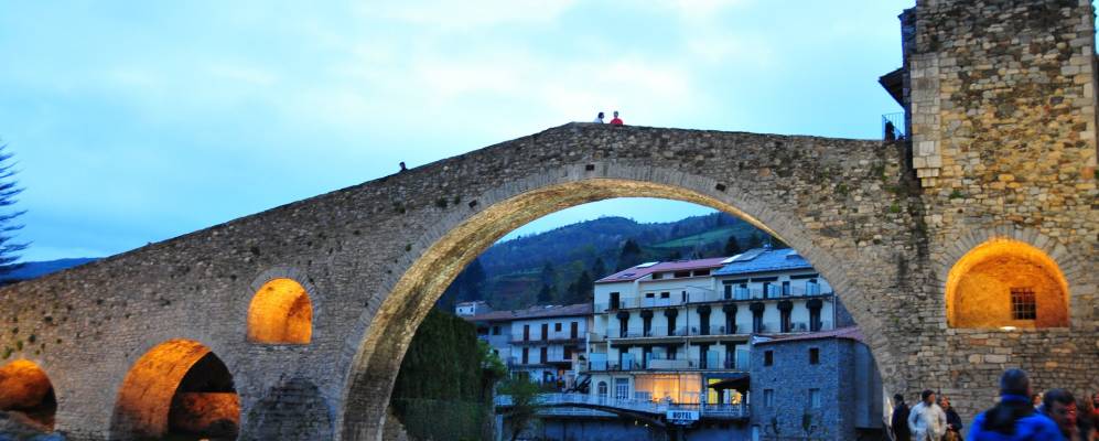 
            Фотография Кампродона