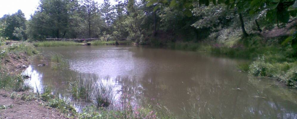 
            Фотография Бабичи