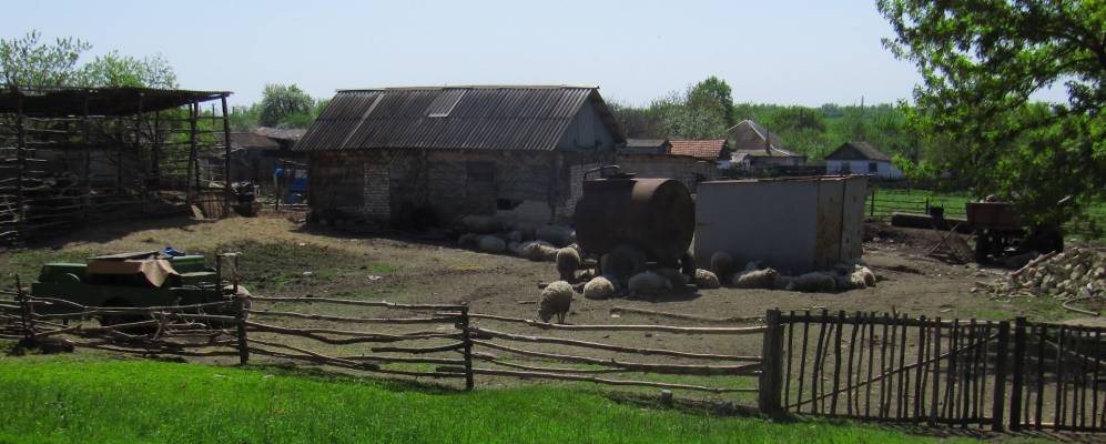 
            Фотография Крепи