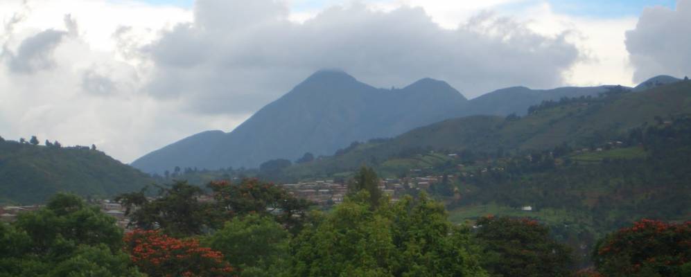 
            Фотография Мбеи