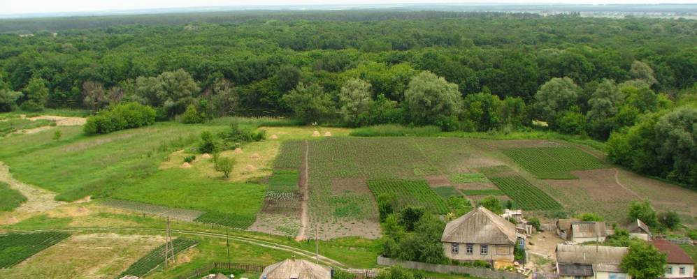 
            Фотография Петренково