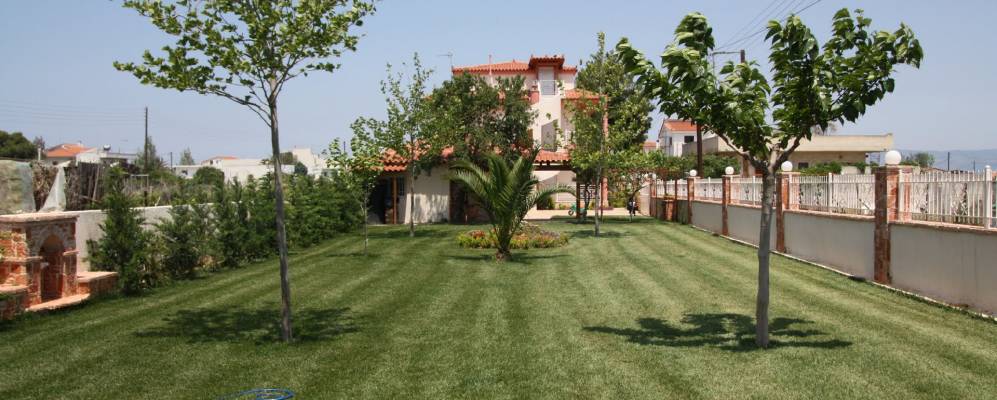 
            Фотография Лехайона