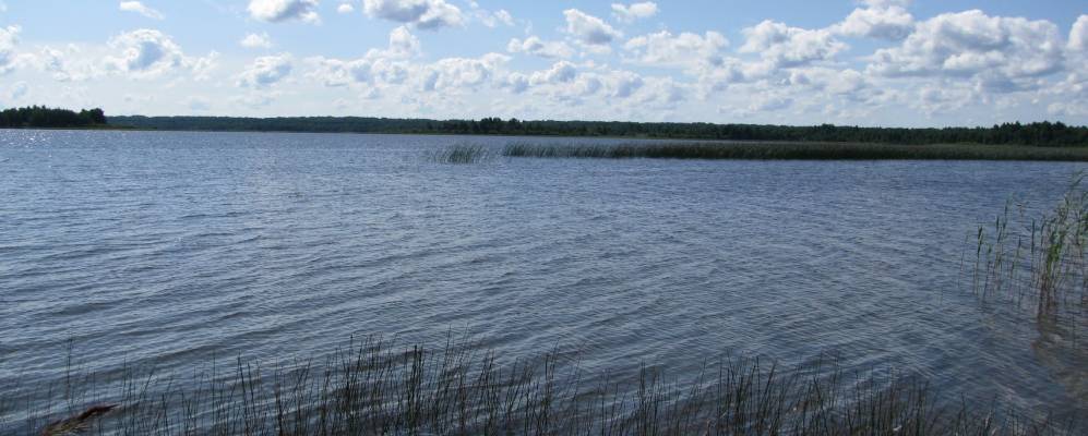 
            Фотография Калинчино