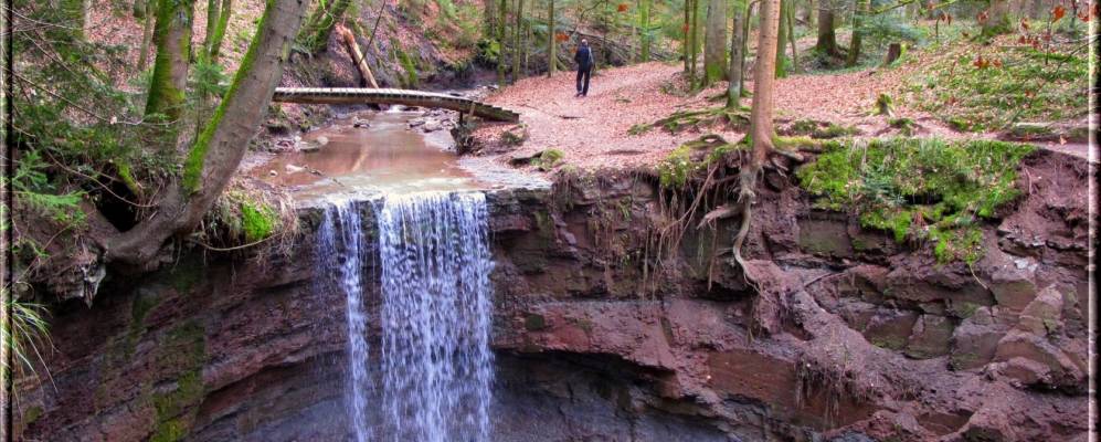 
            Фотография Мурхардта