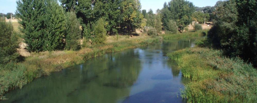 Фотография Вальдераса