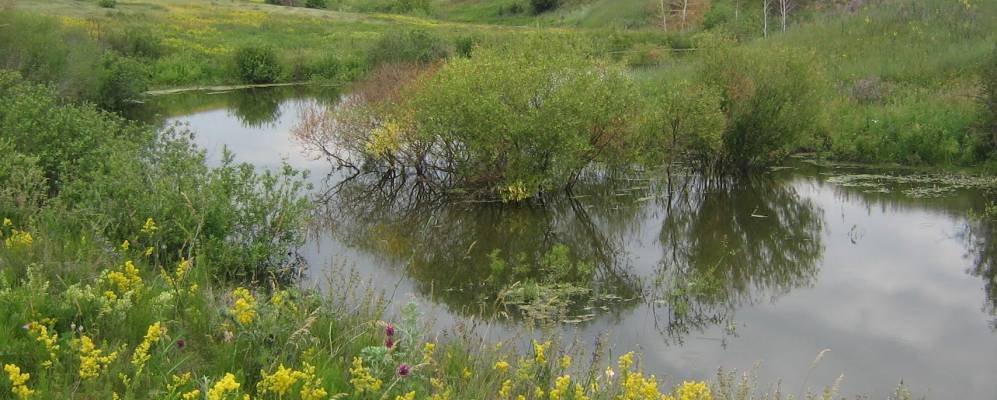 Фотография Кирсановки