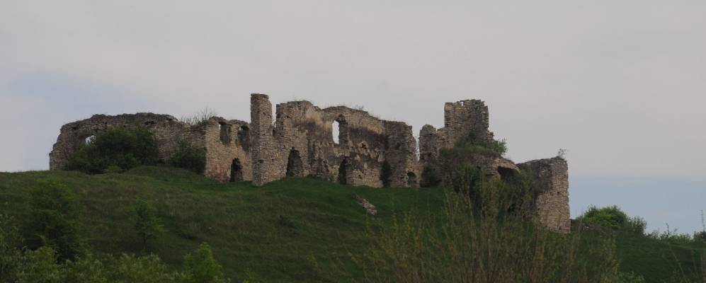 Фотография Параевки